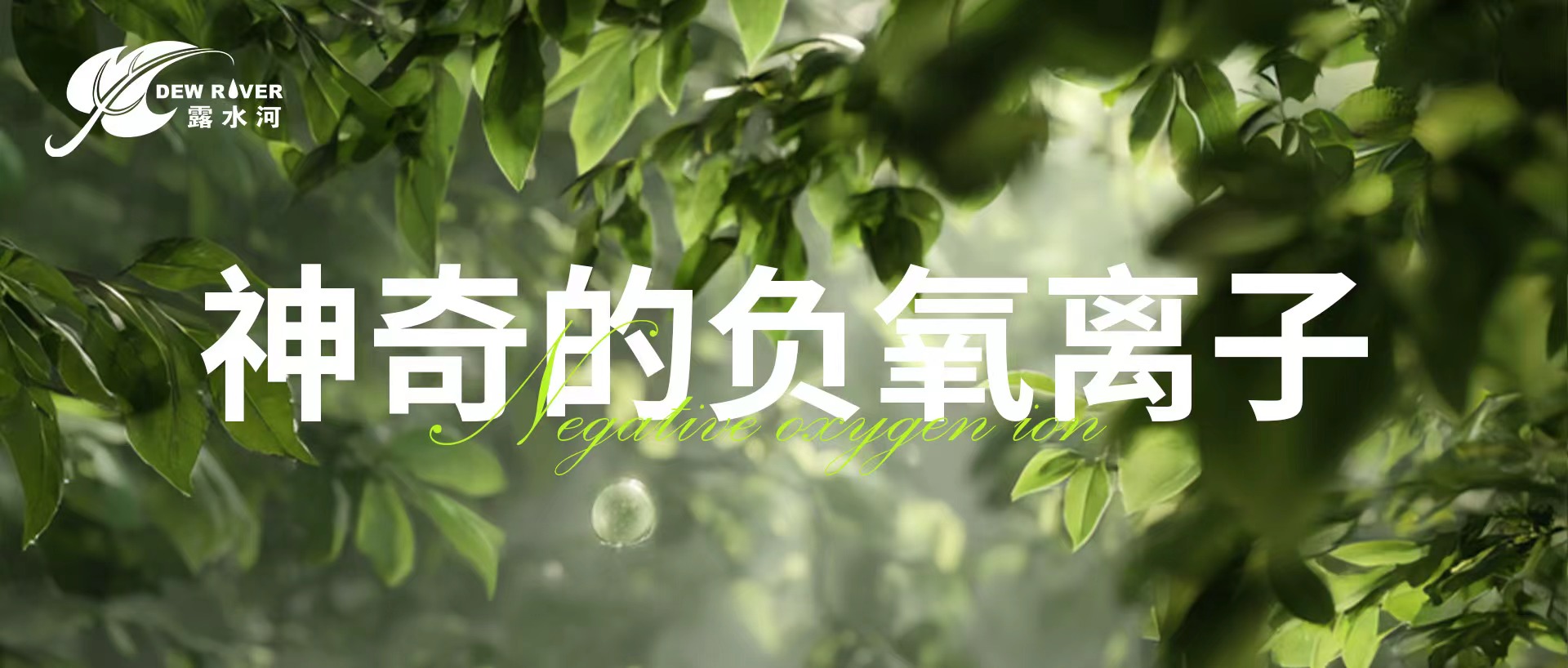 露水河 | 神奇的负氧离子