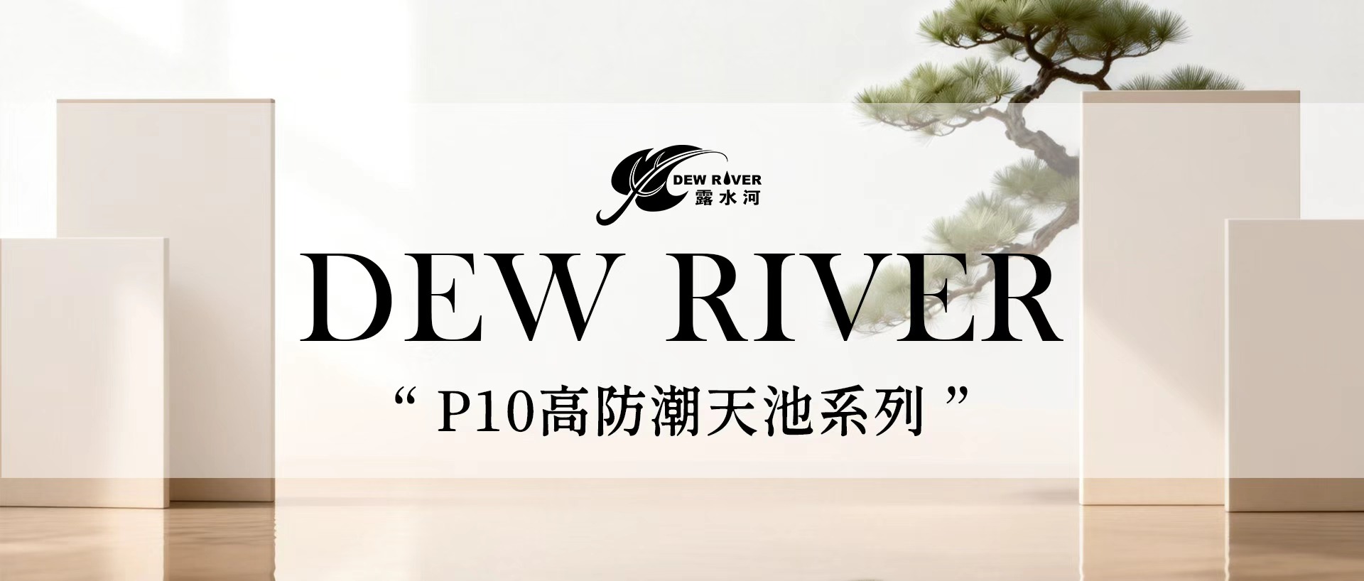 Moisture-Proof and Formaldehyde-Resistant · Lasts Like New | DEWRIVER P10 High M